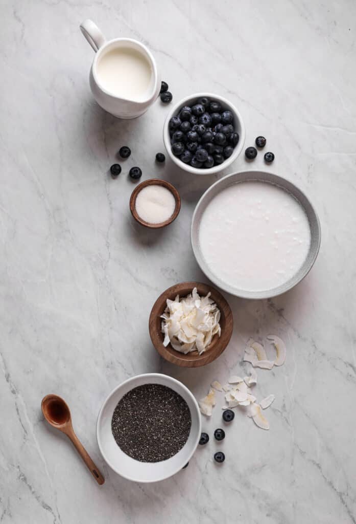 ingredients for blueberry chia pudding in individual bowls